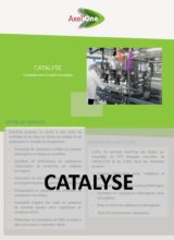 Fiche outil catalyse Fiche outil catalyse