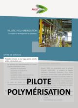 Fiche pilote polymérisation Fiche pilote polymérisation